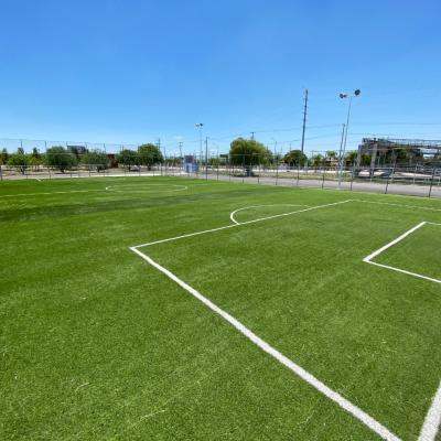 Cancha De Ftbol